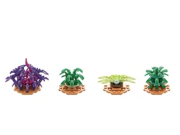 Alien Plants