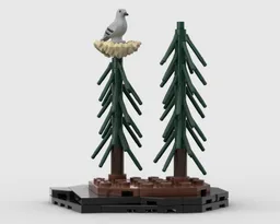 Pine Forest