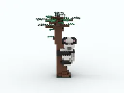 Panda on a tree