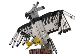 Harpy Eagle