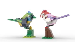 11014 Birds