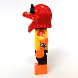 Animal
