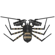 Vinegaroon (Uropygi Order)