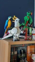 31161 - Parrot