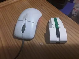 Computer Mouse