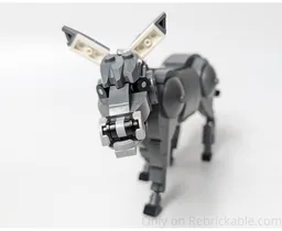 Donkey