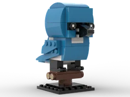 Cerulean Kingfisher: Birdheadz