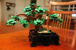 Bonsai