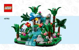 Tropical Rainforest Diorama