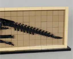 Hadrosaur Fossil