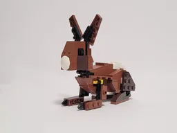 31004: Rabbit