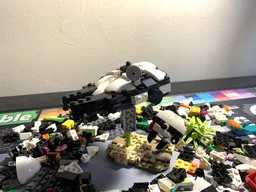 (31165) Millennium Panda's