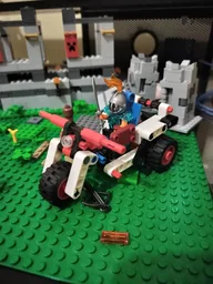 42116 Trike