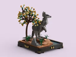 Kangaroo Country