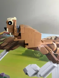 Beaver