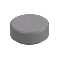 Tile Round 1 x 1 / Flat Silver