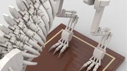 Cat Skeleton