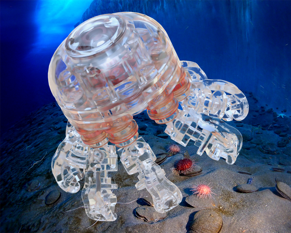 Lego Immortal Jellyfish (Turritopsis dohrnii)