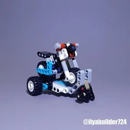 42133 Bike with trailer