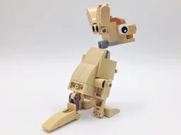 30666 Kangaroo