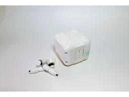 Wireless Earbuds and Case