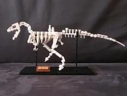 concavenator corcovatus fossil