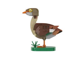 Egyptian goose