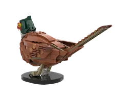 Pheasant