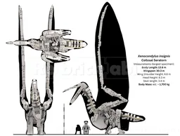 21320 Colossal Seratorn Skeleton (Xenocondylus insignis)