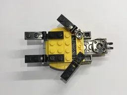 31014 Turtle