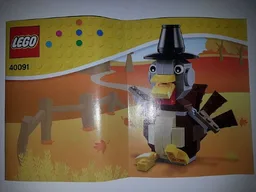 Thanksgiving Turkey