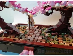 Bonsai Park