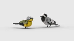 Birds 2 - Wagtail and Yellow Wagtail