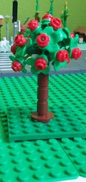 small round Tree