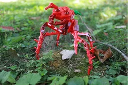 (G2) - The Red Ant Buggy
