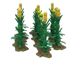Field Corn
