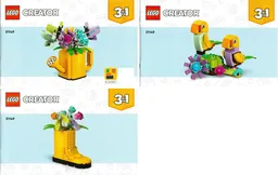 Flowers in Watering Can