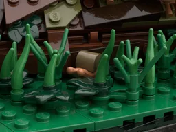 The Nurse Log