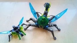 MOC-0043 big tarant