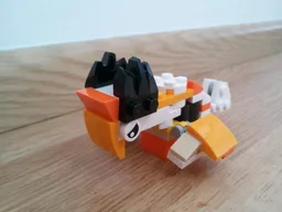 30571 bird
