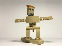 30666 Surfer