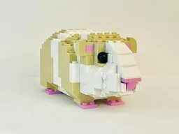 Guinea Pig