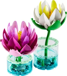 Water Lilies