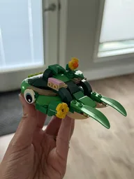 Turtle Falcon