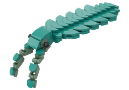Anomalocarid