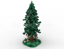 Plants and Trees Collection: Tall Fir