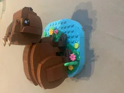 Capybara Model