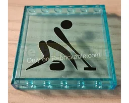 Olympic Curling Arena