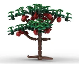 Apple Trees