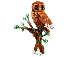Forest Animals: Red Fox